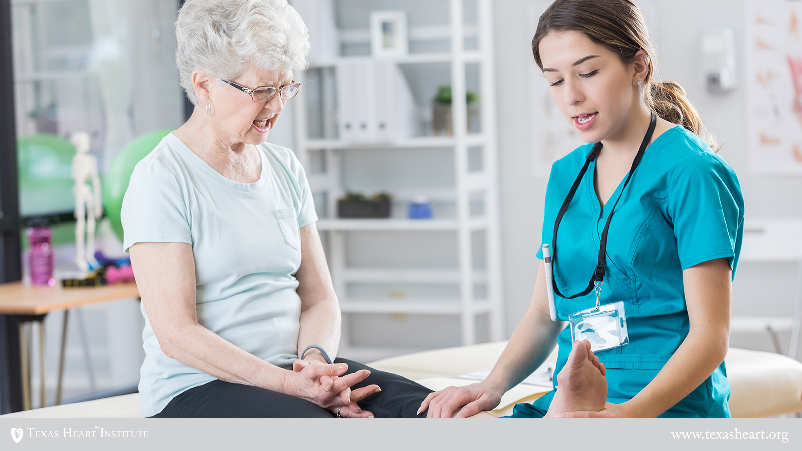 female physical therapist and patient discussing the vasculature of the leg