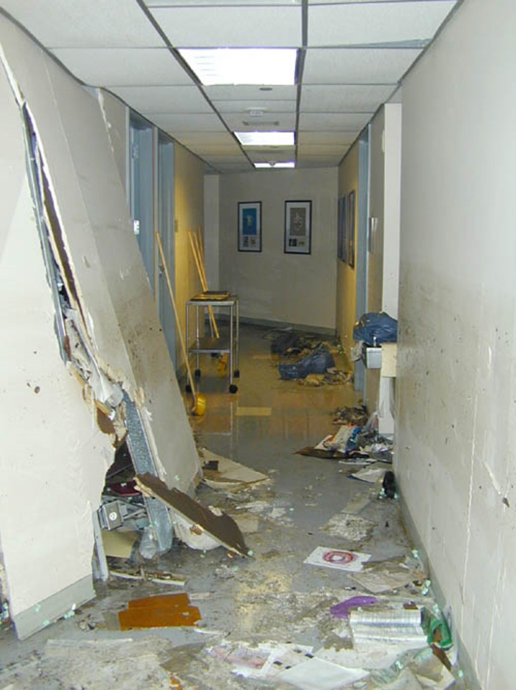 Did You Know? Years of Research Were Lost During Tropical Storm Allison